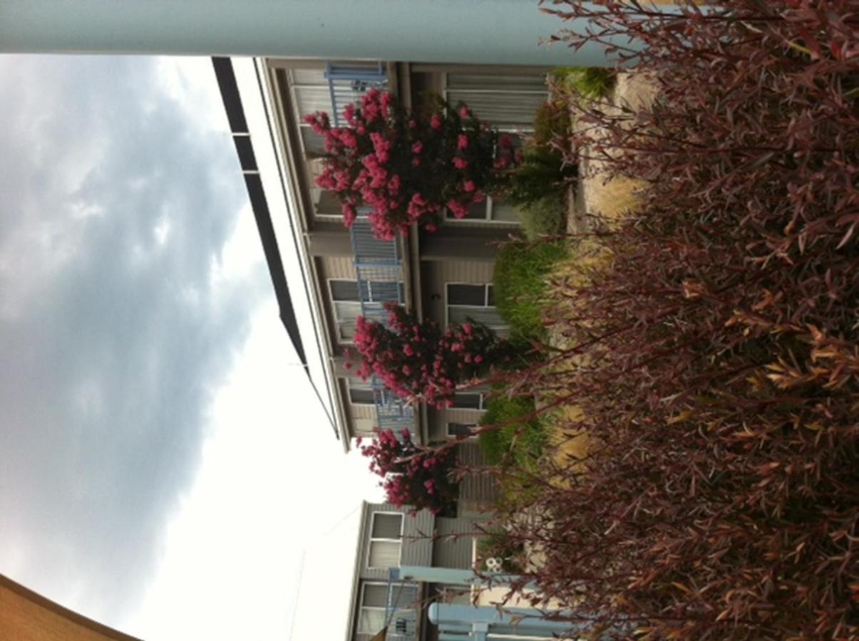 Aparthotel Quest Williamstown North Exterior foto
