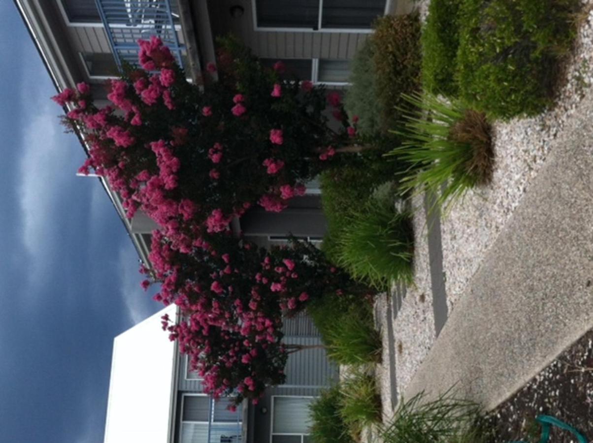 Aparthotel Quest Williamstown North Exterior foto